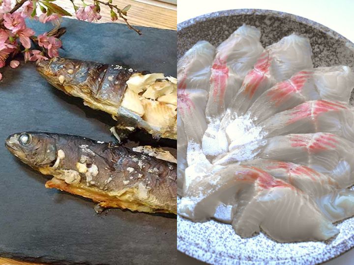 イワナの塩焼き&お刺身セット