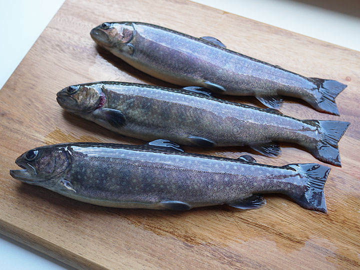 イワナ料理の盛り合わせ