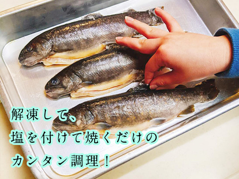 深瀬イワナ（塩焼き用） - サムネイル 7