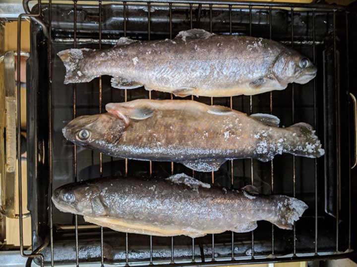 グリルで焼かれている途中のイワナ