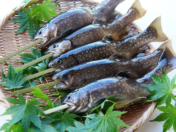 手に乗せられた新鮮な深瀬イワナ