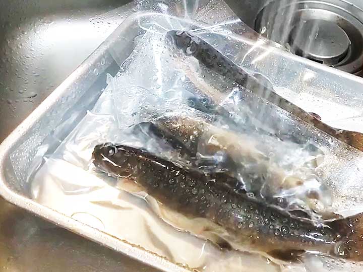 袋に入ったまま流水解凍されるイワナの様子