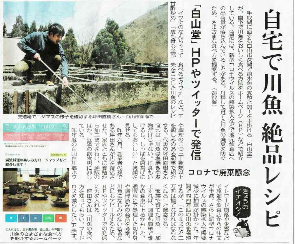 メディア掲載情報