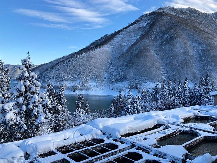 水面の様子