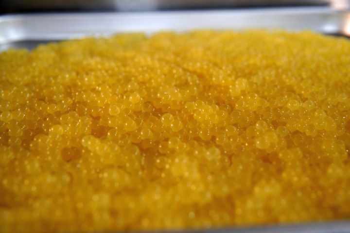 丁寧に加工される岩魚の卵